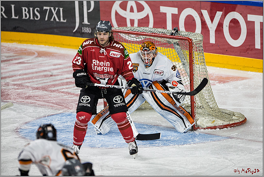 DEL, Koelner Haie - Grizzlys Wolfsburg, 07.03.2017